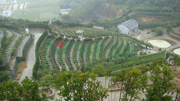 必赢亚洲·Bwin(唯一)官方网站