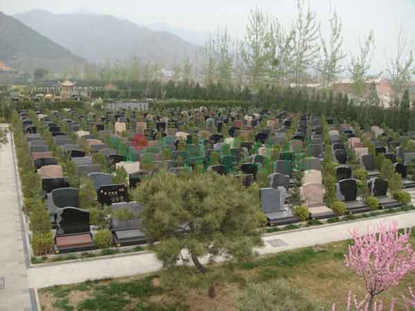 必赢亚洲·Bwin(唯一)官方网站