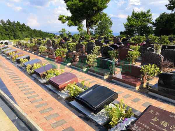 必赢亚洲·Bwin(唯一)官方网站