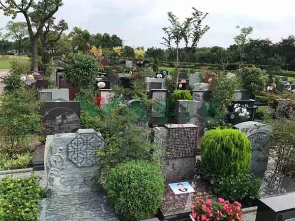 必赢亚洲·Bwin(唯一)官方网站