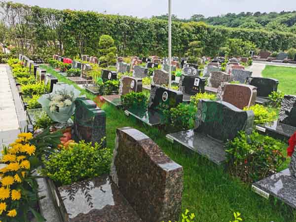 必赢亚洲·Bwin(唯一)官方网站