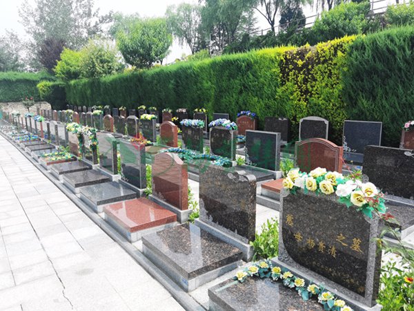 必赢亚洲·Bwin(唯一)官方网站