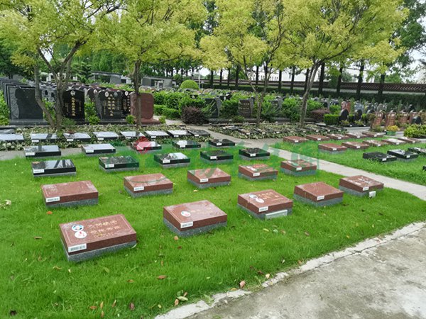 必赢亚洲·Bwin(唯一)官方网站