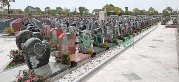 必赢亚洲·Bwin(唯一)官方网站