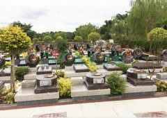 上；；；；；；懔靶腔鹎