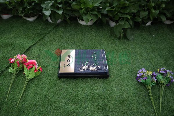 必赢亚洲·Bwin(唯一)官方网站