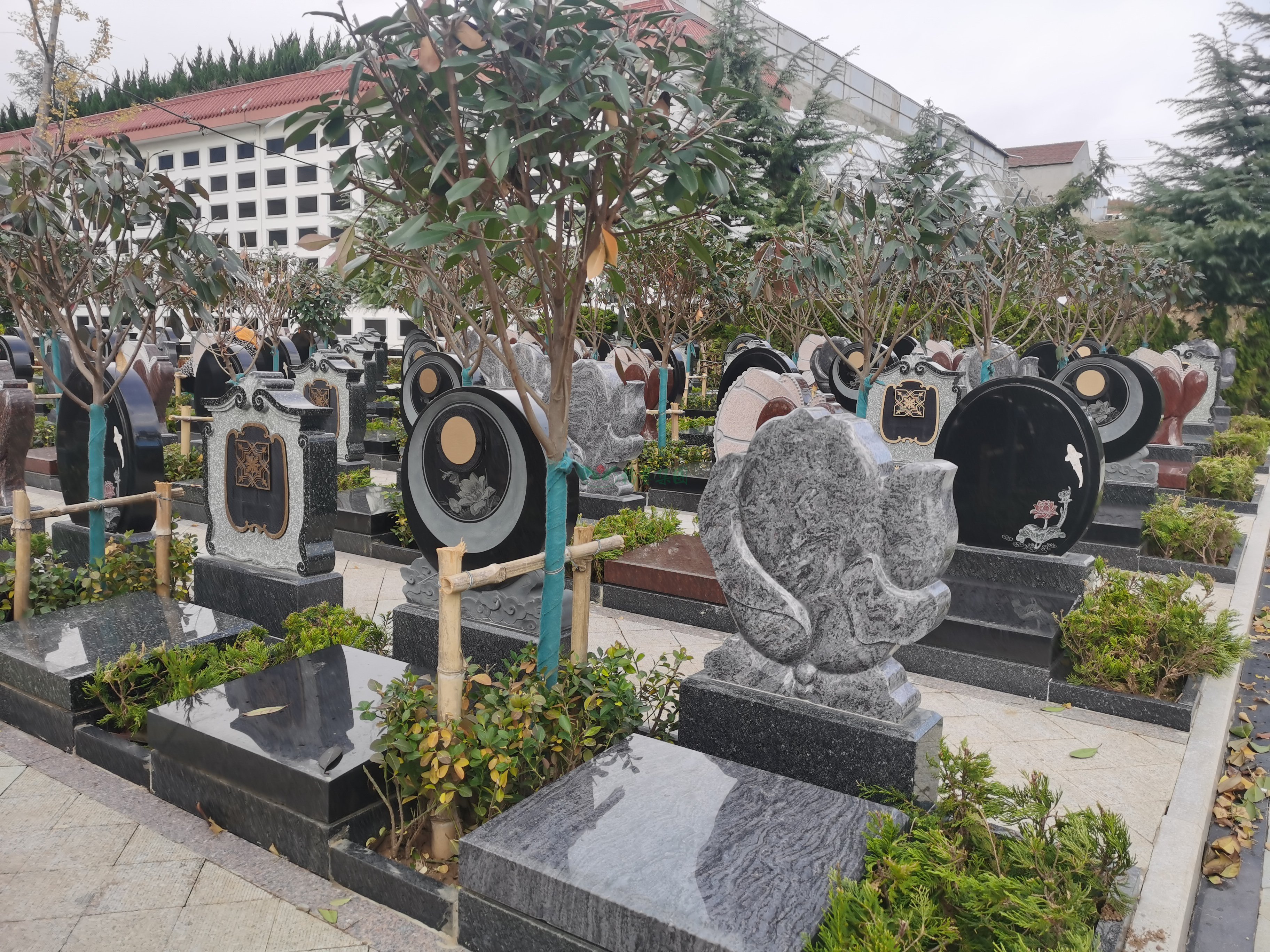 必赢亚洲·Bwin(唯一)官方网站