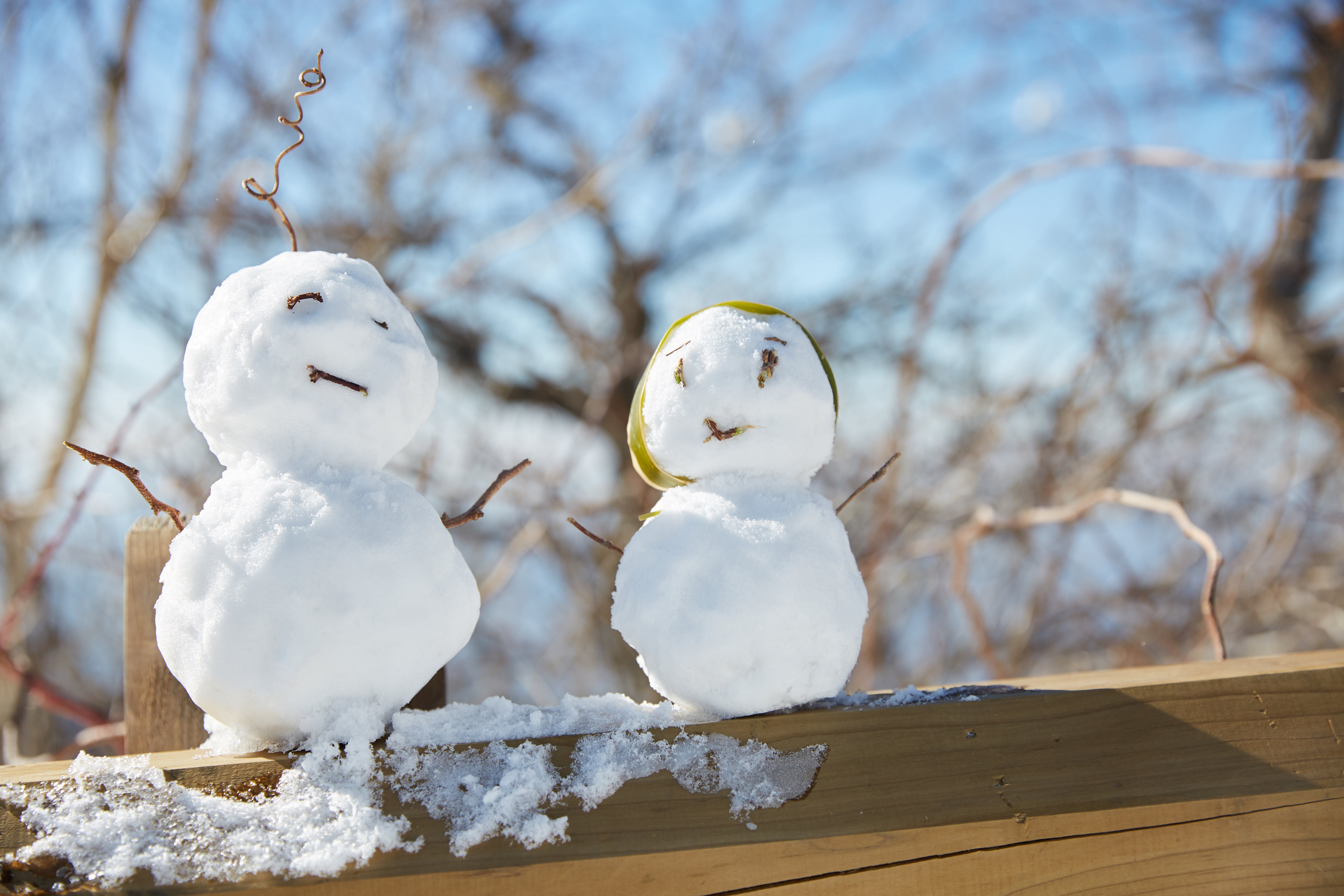 冬至，，，，暖“杨”相伴 | 必赢亚洲人全力配合各墓园冬至落葬
