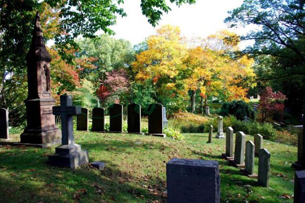 必赢亚洲·Bwin(唯一)官方网站