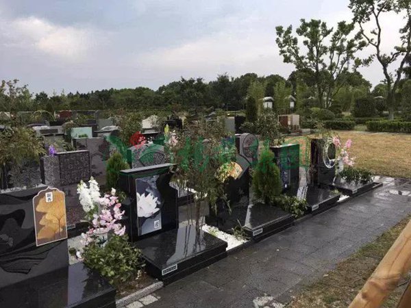 必赢亚洲·Bwin(唯一)官方网站