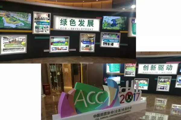 必赢亚洲·Bwin(唯一)官方网站