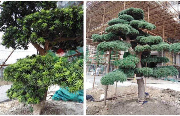 必赢亚洲·Bwin(唯一)官方网站