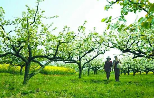 必赢亚洲·Bwin(唯一)官方网站