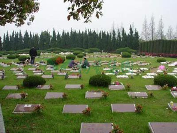 必赢亚洲·Bwin(唯一)官方网站