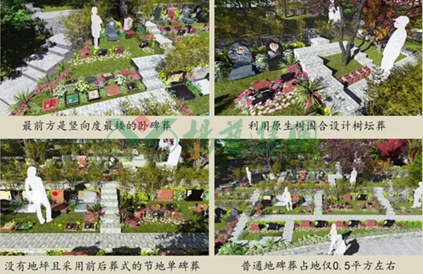 必赢亚洲·Bwin(唯一)官方网站