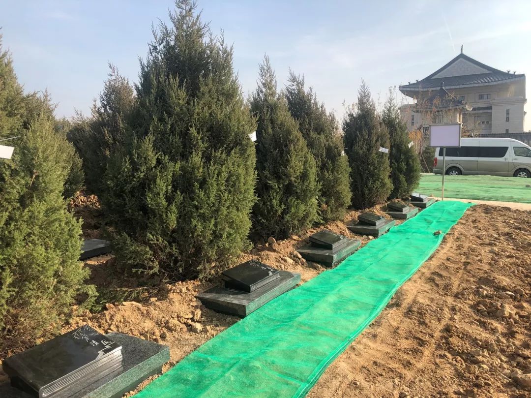 必赢亚洲·Bwin(唯一)官方网站