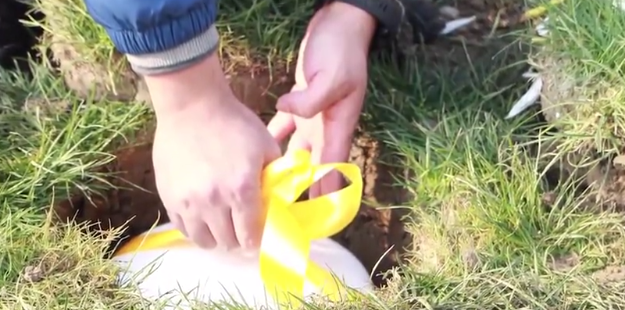 必赢亚洲·Bwin(唯一)官方网站