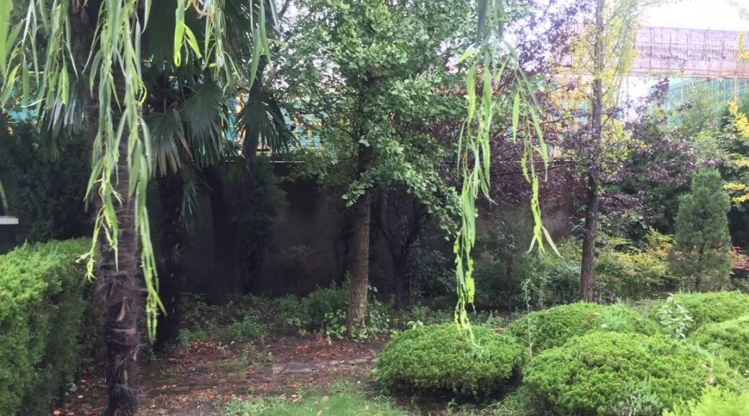 必赢亚洲·Bwin(唯一)官方网站