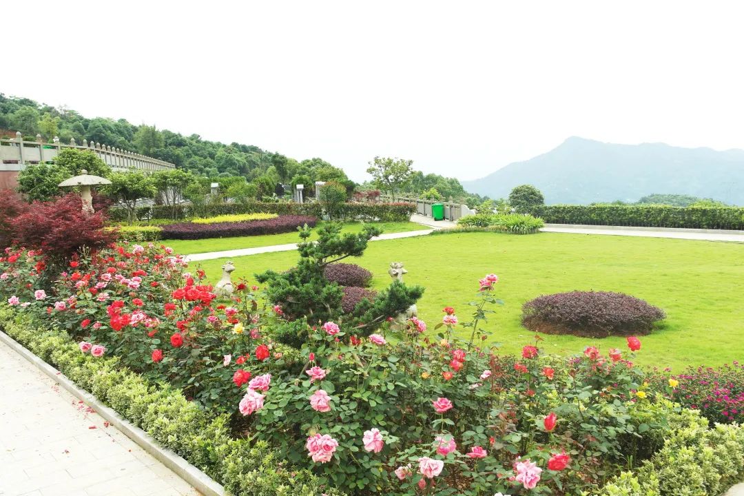 必赢亚洲·Bwin(唯一)官方网站