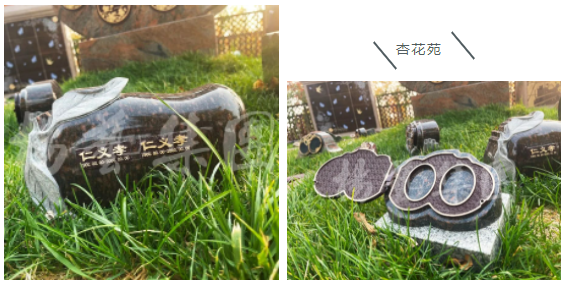 必赢亚洲·Bwin(唯一)官方网站