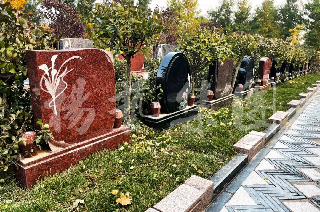 必赢亚洲·Bwin(唯一)官方网站