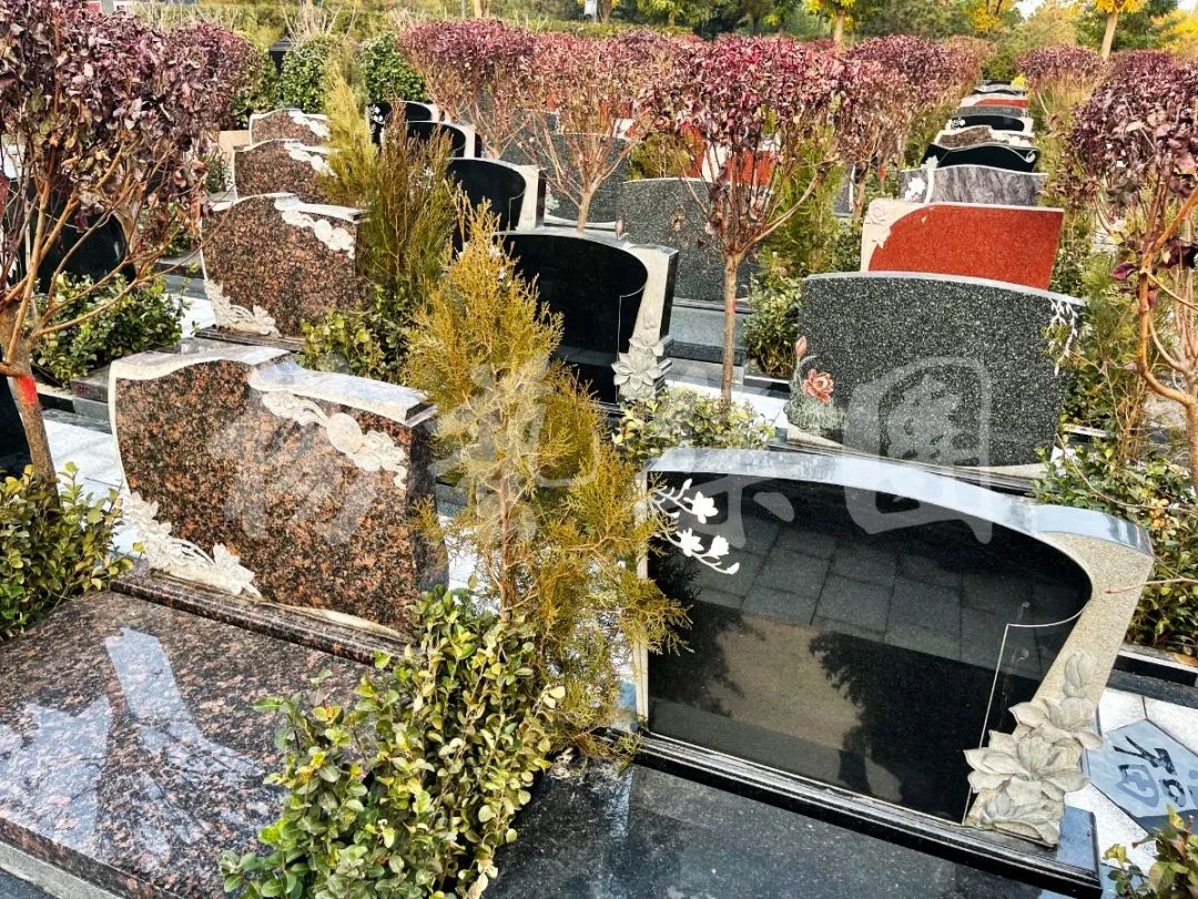 必赢亚洲·Bwin(唯一)官方网站