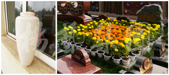 必赢亚洲·Bwin(唯一)官方网站