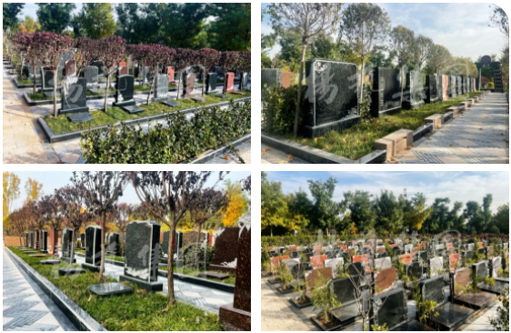 必赢亚洲·Bwin(唯一)官方网站