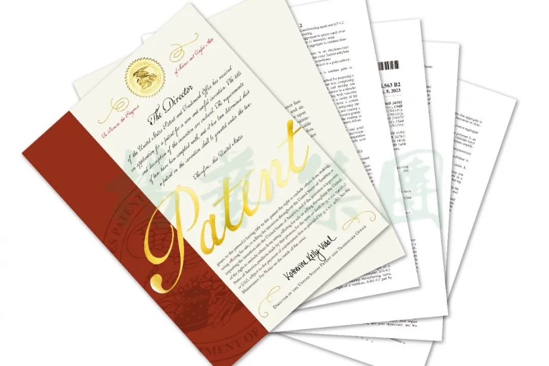 必赢亚洲·Bwin(唯一)官方网站