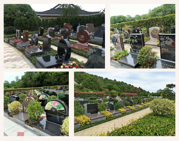 必赢亚洲·Bwin(唯一)官方网站