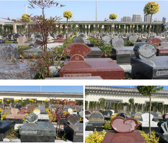 必赢亚洲·Bwin(唯一)官方网站