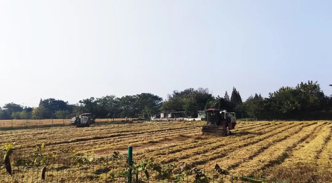 必赢亚洲·Bwin(唯一)官方网站