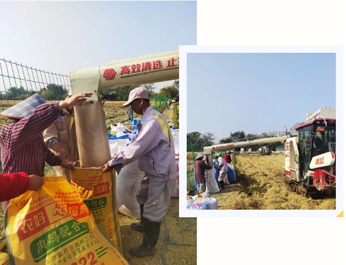 必赢亚洲·Bwin(唯一)官方网站