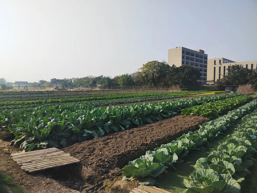 必赢亚洲·Bwin(唯一)官方网站