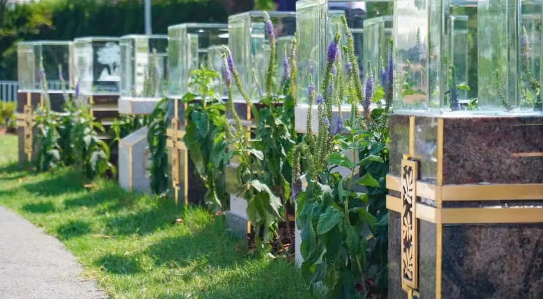 必赢亚洲·Bwin(唯一)官方网站