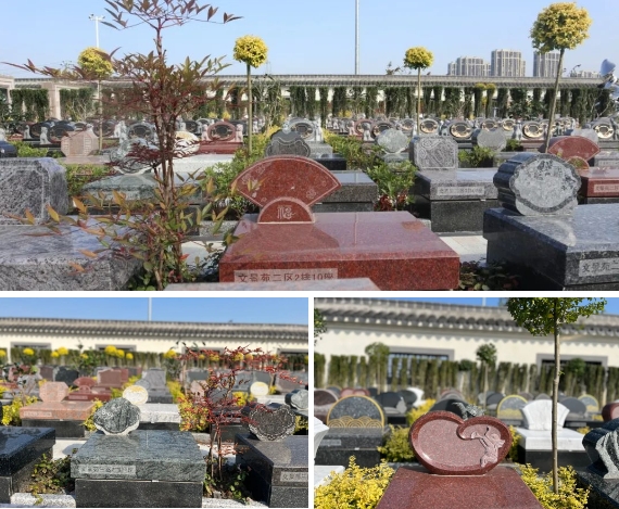 必赢亚洲·Bwin(唯一)官方网站