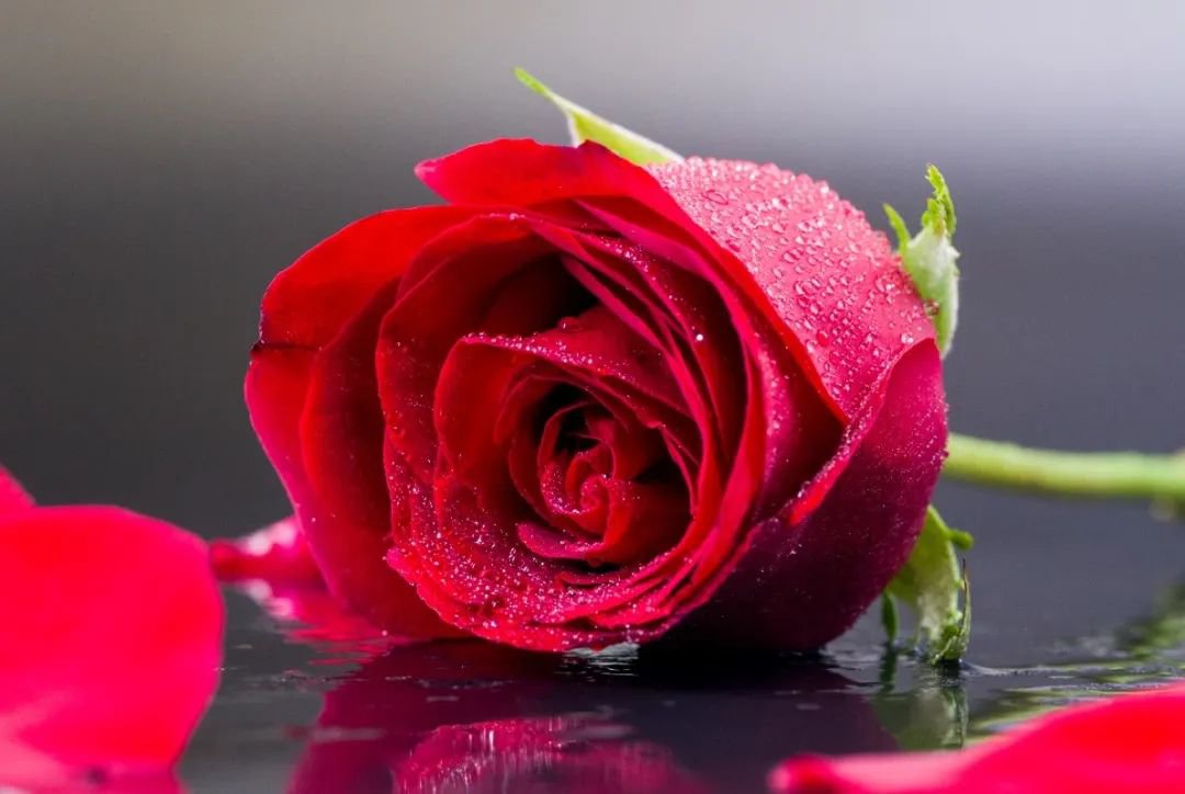 必赢亚洲·Bwin(唯一)官方网站