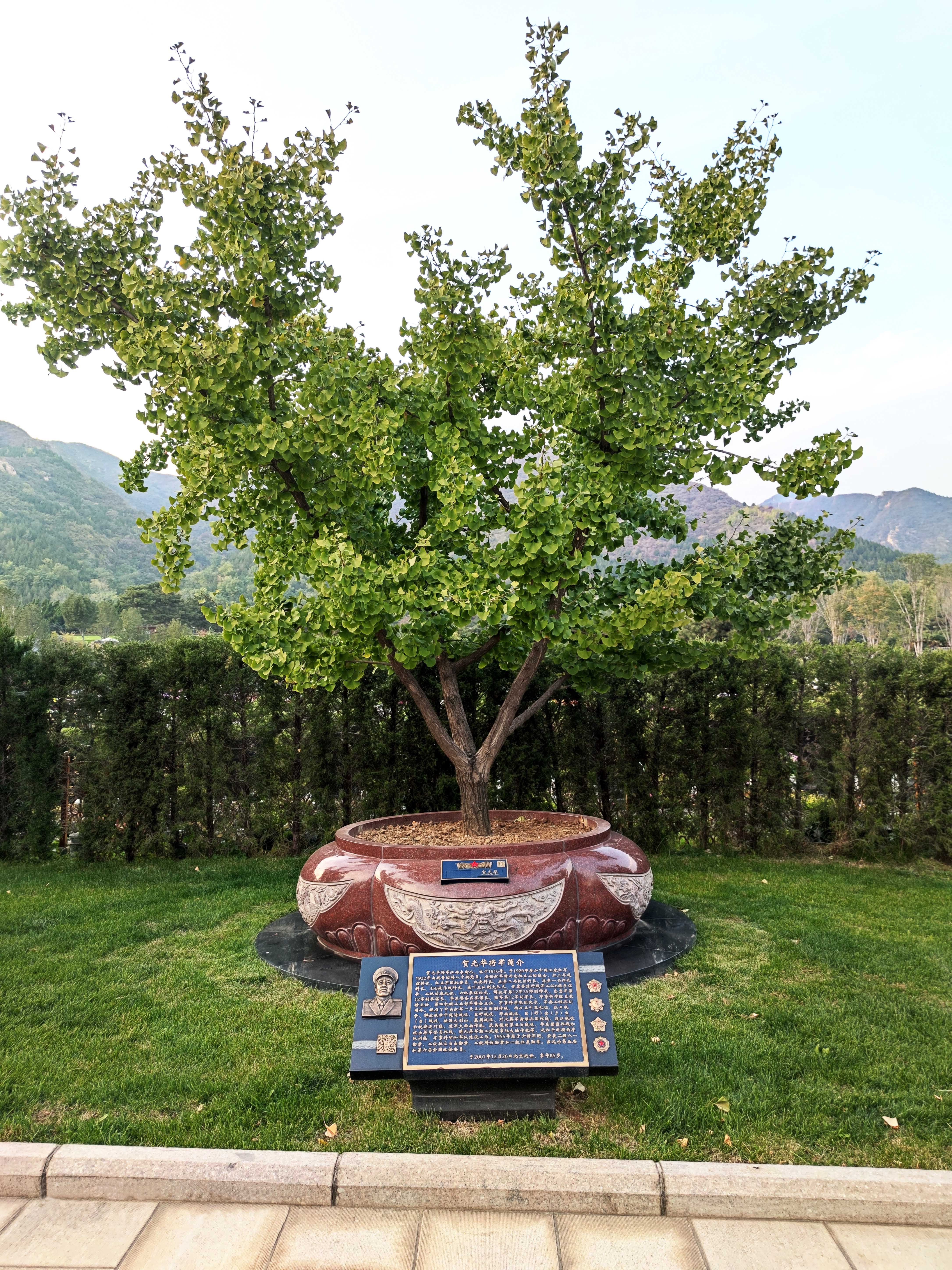 必赢亚洲·Bwin(唯一)官方网站