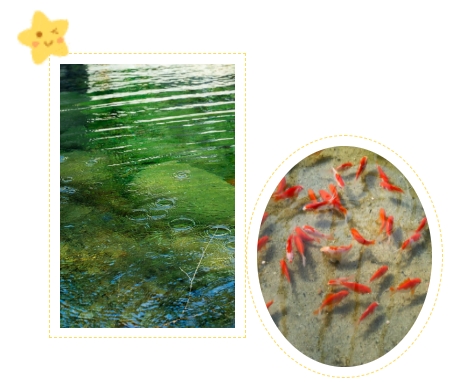 必赢亚洲·Bwin(唯一)官方网站