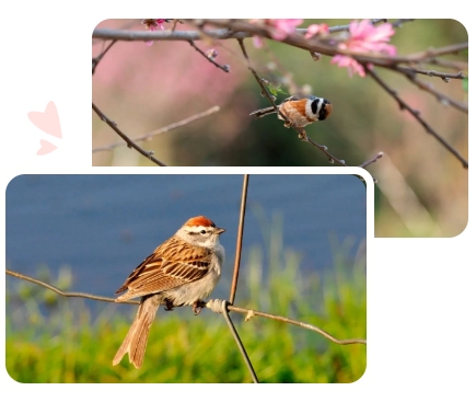 必赢亚洲·Bwin(唯一)官方网站