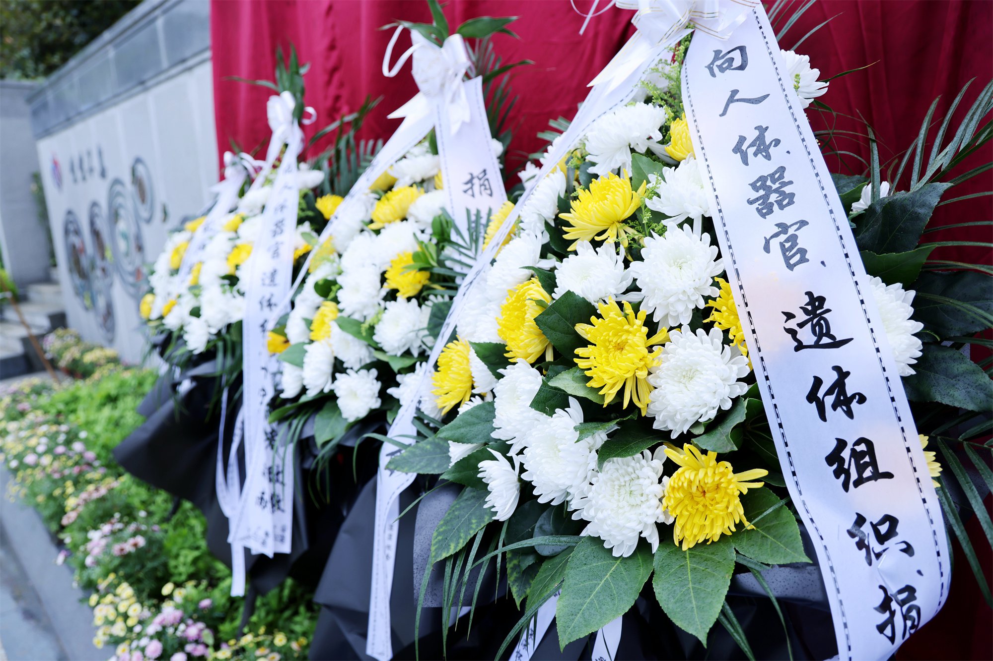 必赢亚洲·Bwin(唯一)官方网站