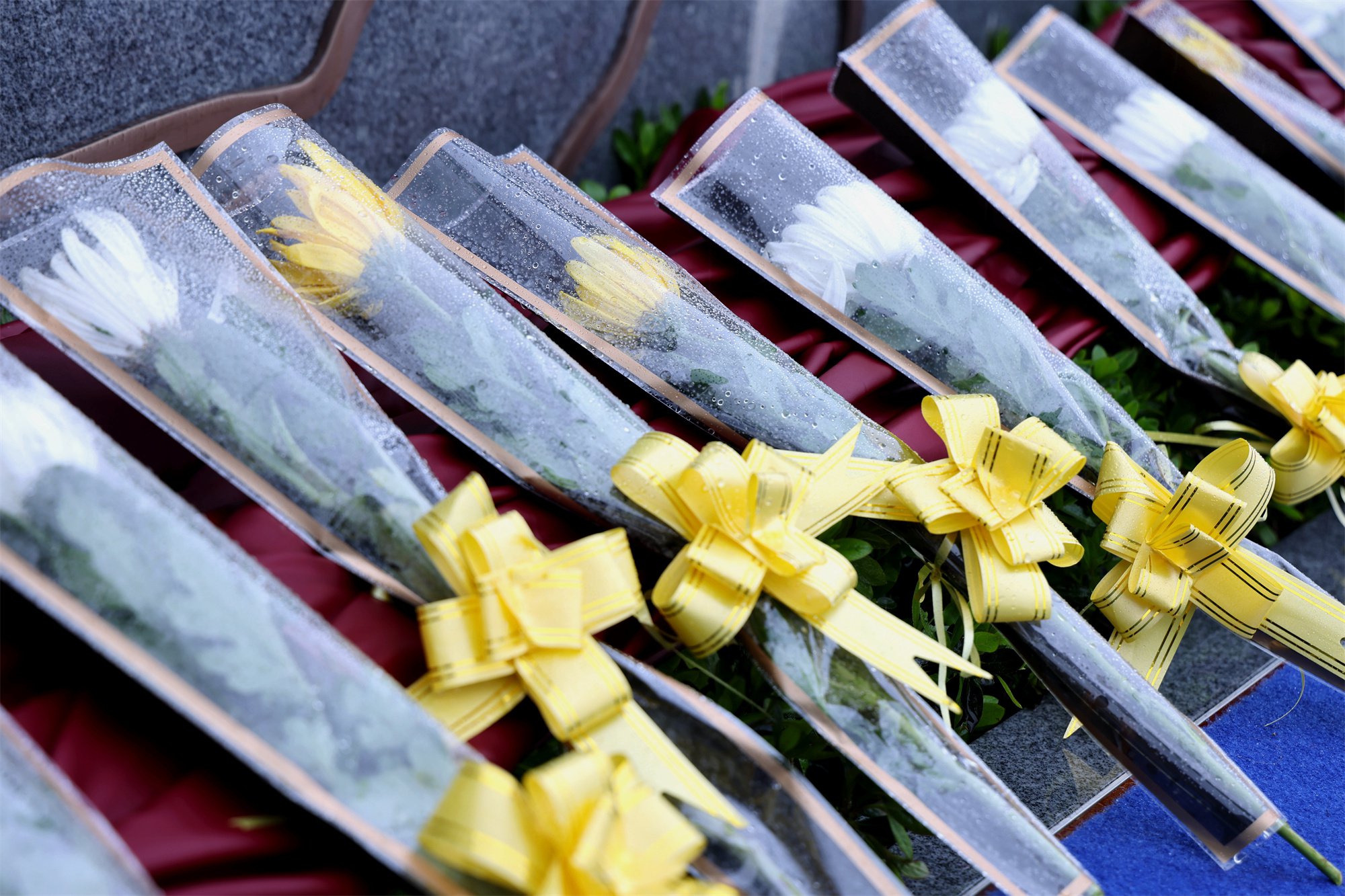 必赢亚洲·Bwin(唯一)官方网站