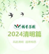 风起清明 遥寄相思|必赢亚洲集团?2024清明篇