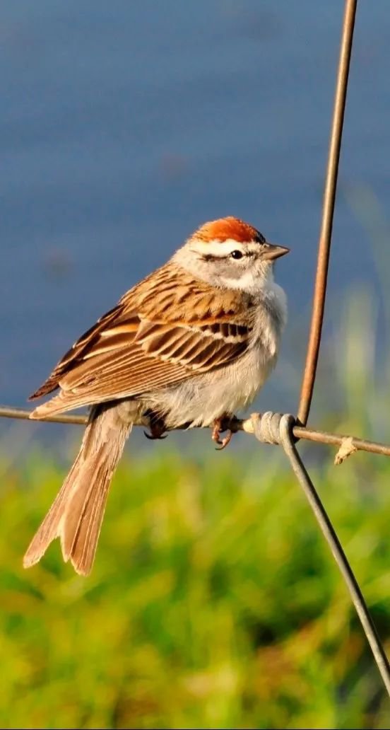 必赢亚洲·Bwin(唯一)官方网站