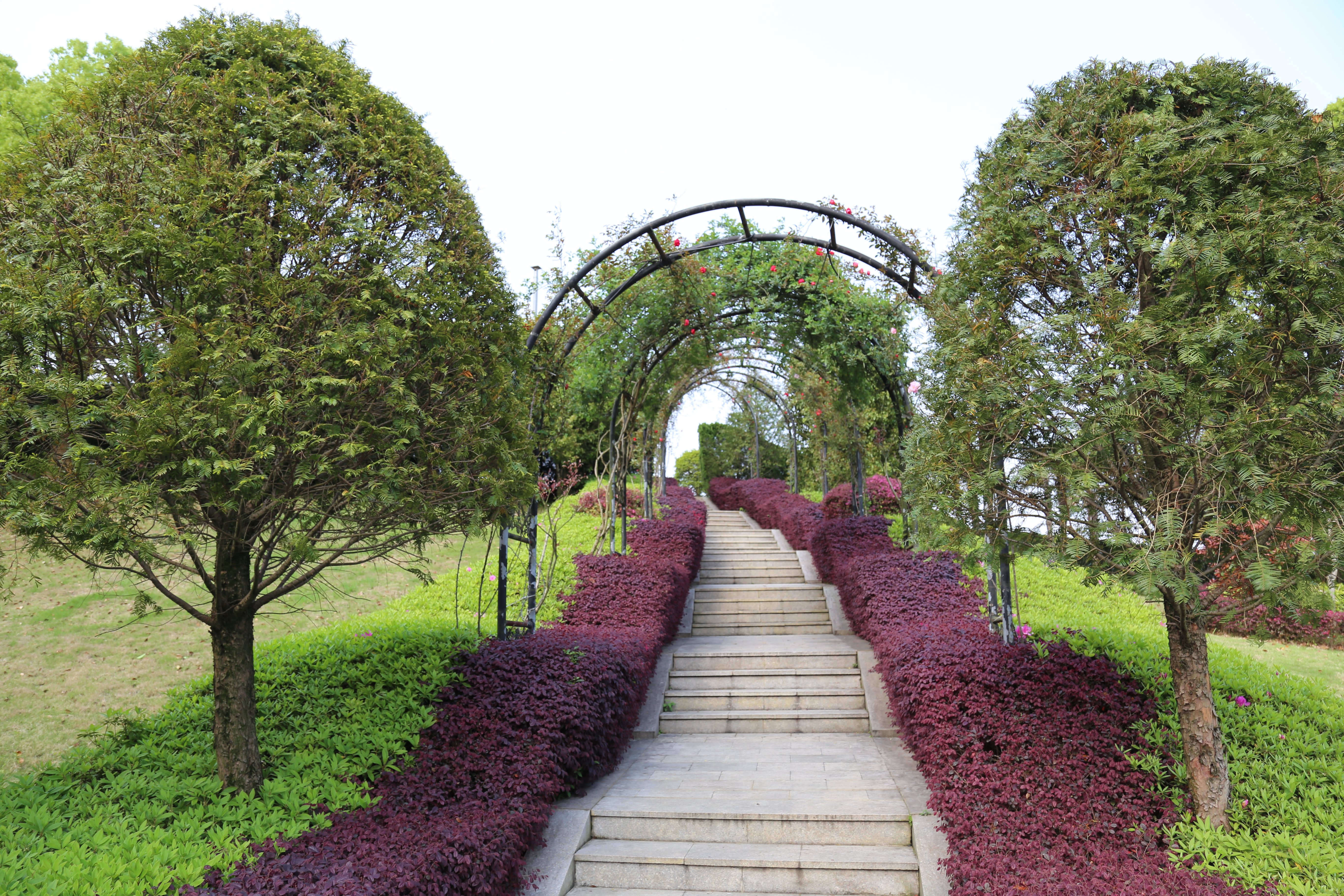 必赢亚洲·Bwin(唯一)官方网站