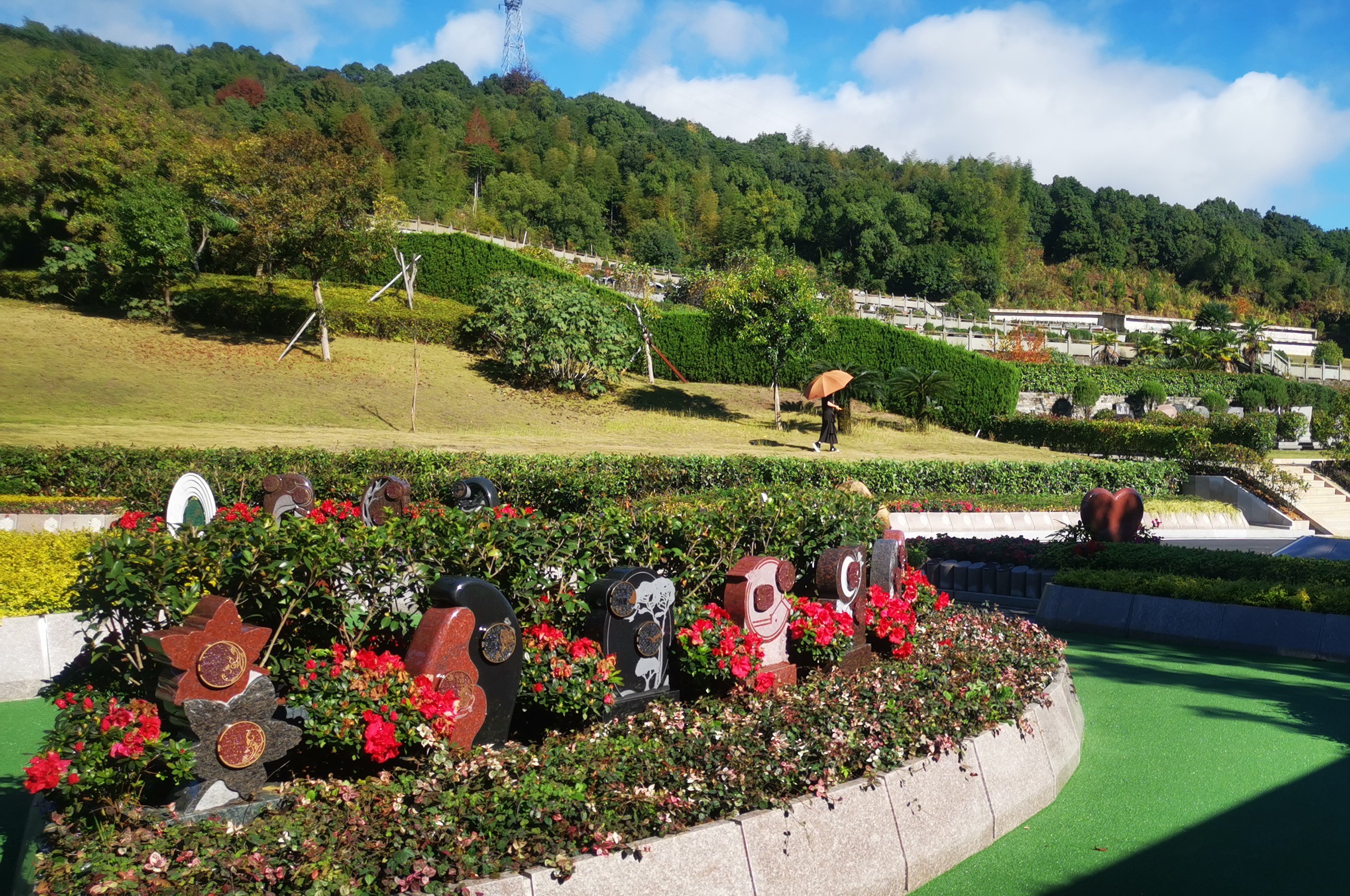 带您一分钟相识节地生态葬