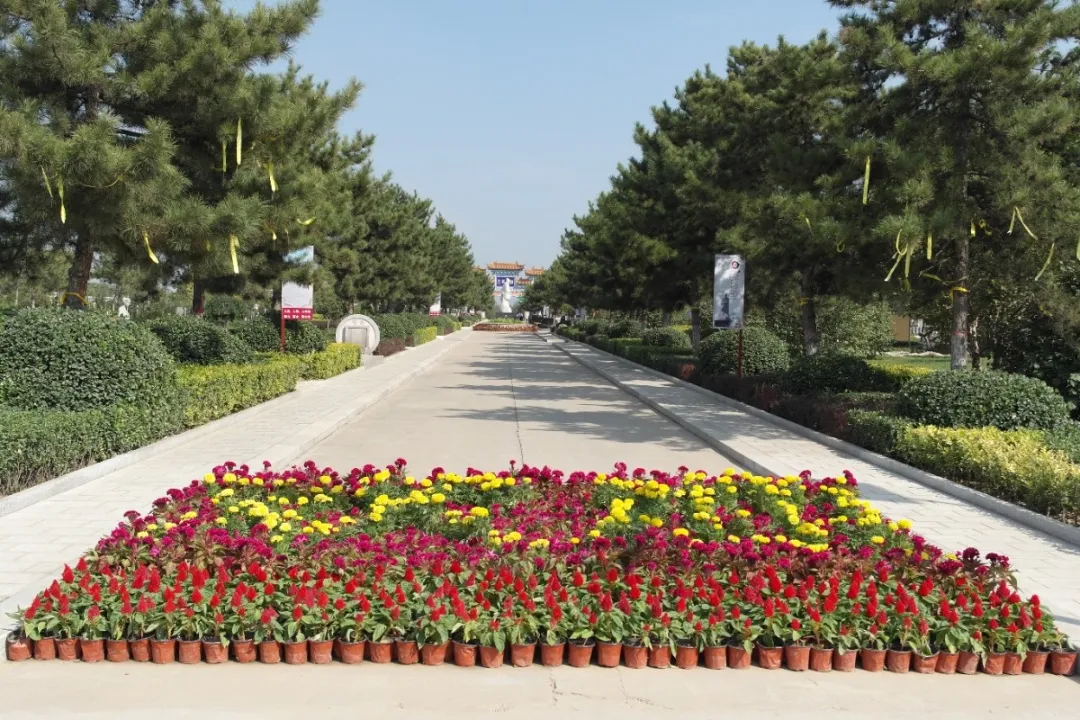 必赢亚洲·Bwin(唯一)官方网站