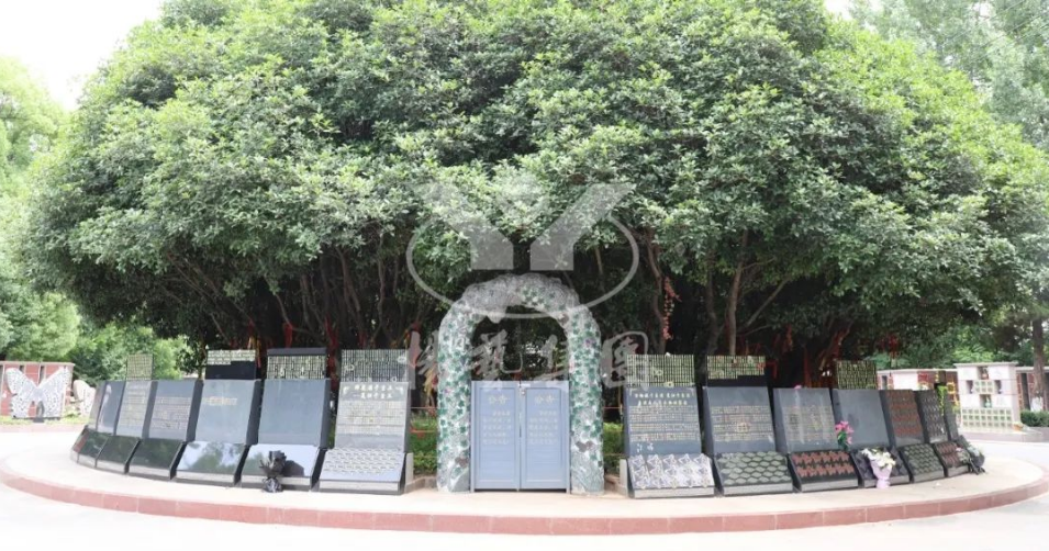 必赢亚洲·Bwin(唯一)官方网站