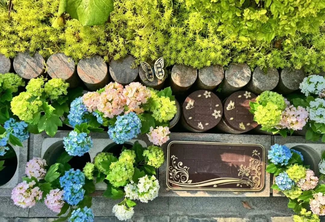 必赢亚洲·Bwin(唯一)官方网站