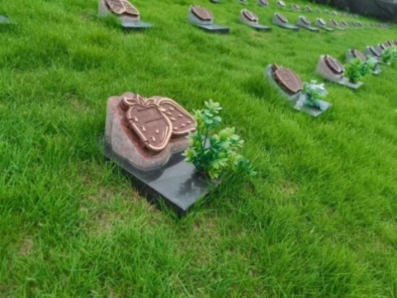 必赢亚洲·Bwin(唯一)官方网站